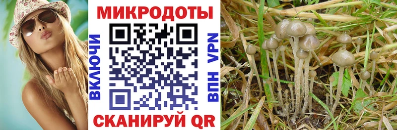 Псилоцибиновые грибы мухоморы  Армавир 